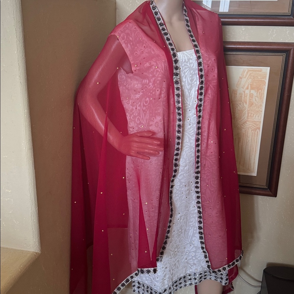Indian Pakistani Red Bollywood Shalwar Kameez Dress sz L